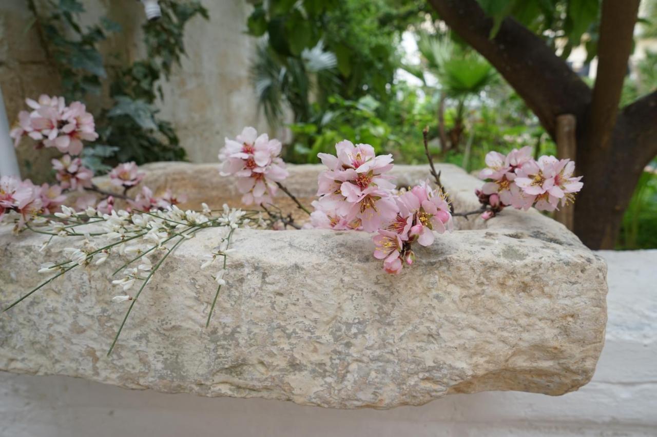 Femily B&B Bed And Breakfast Di Puglia In - Bari Grumo Appula Ngoại thất bức ảnh
