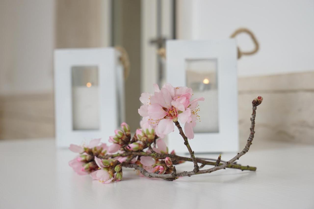 Femily B&B Bed And Breakfast Di Puglia In - Bari Grumo Appula Ngoại thất bức ảnh